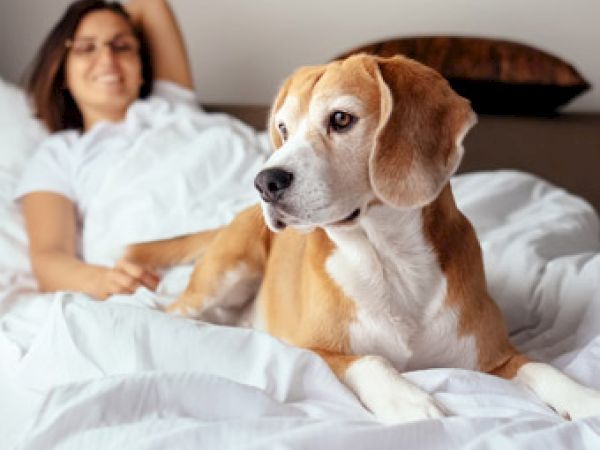 A woman relaxing on a bed with a beagle lying in front, both looking content.