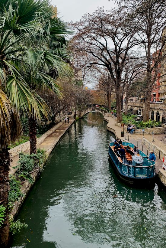 A tranquil canal flanked by palm trees and bare branches, a boat gliding along, stone sidewalks, and urban buildings in the distance.