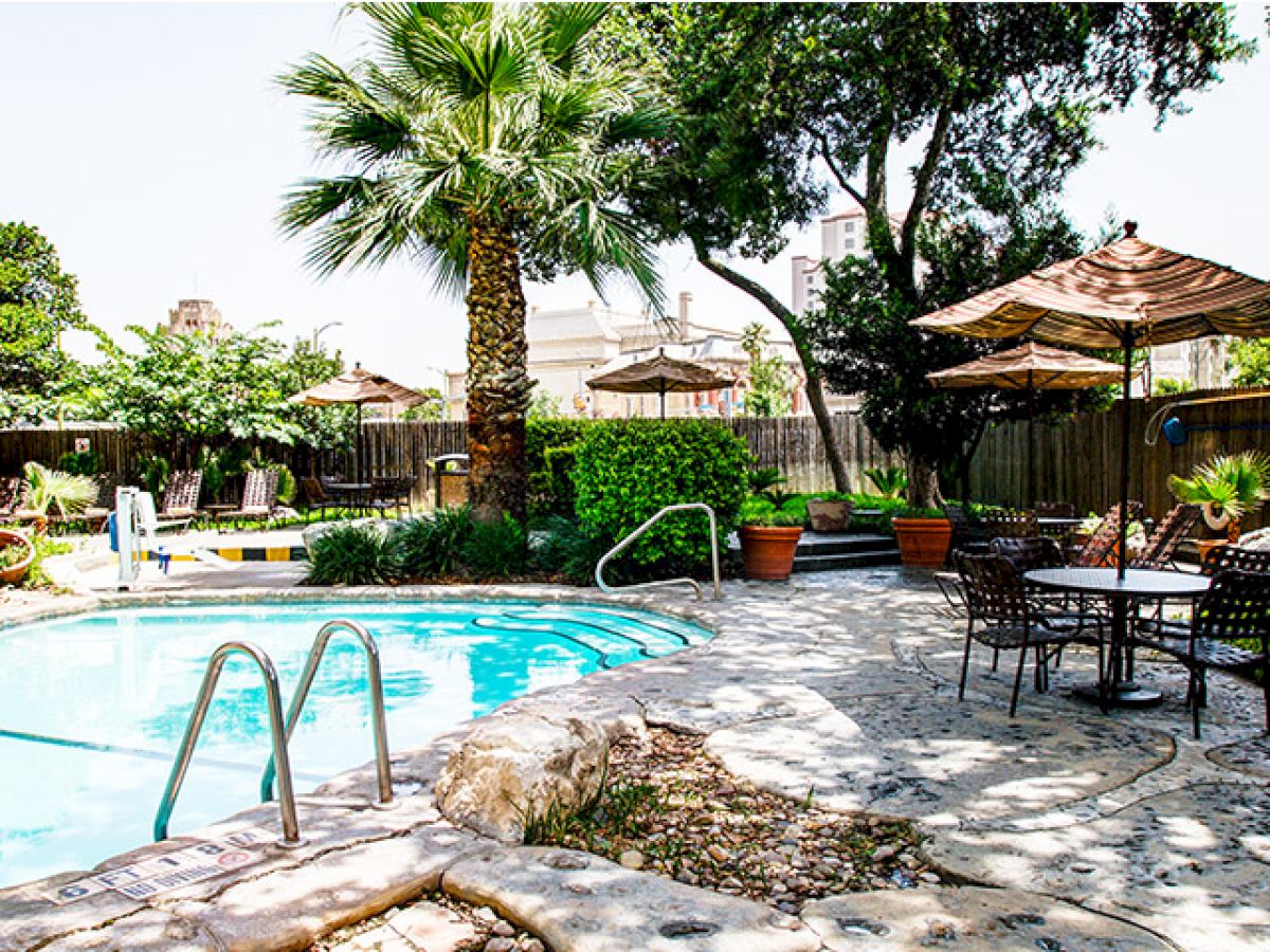 A sunny poolside scene with a curved blue pool, stone patio, palm trees, potted plants, and shaded seating under umbrellas.